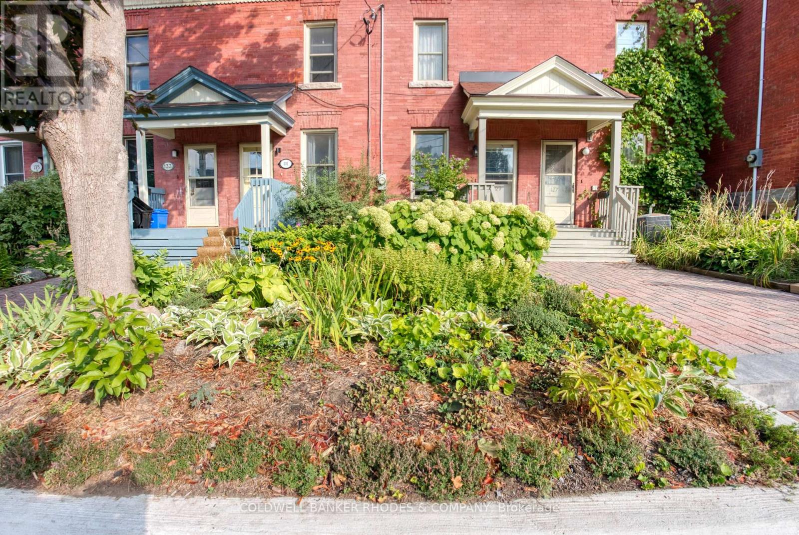 129 Elm Street, Ottawa, Ontario  K1R 6N4 - Photo 24 - X12430299