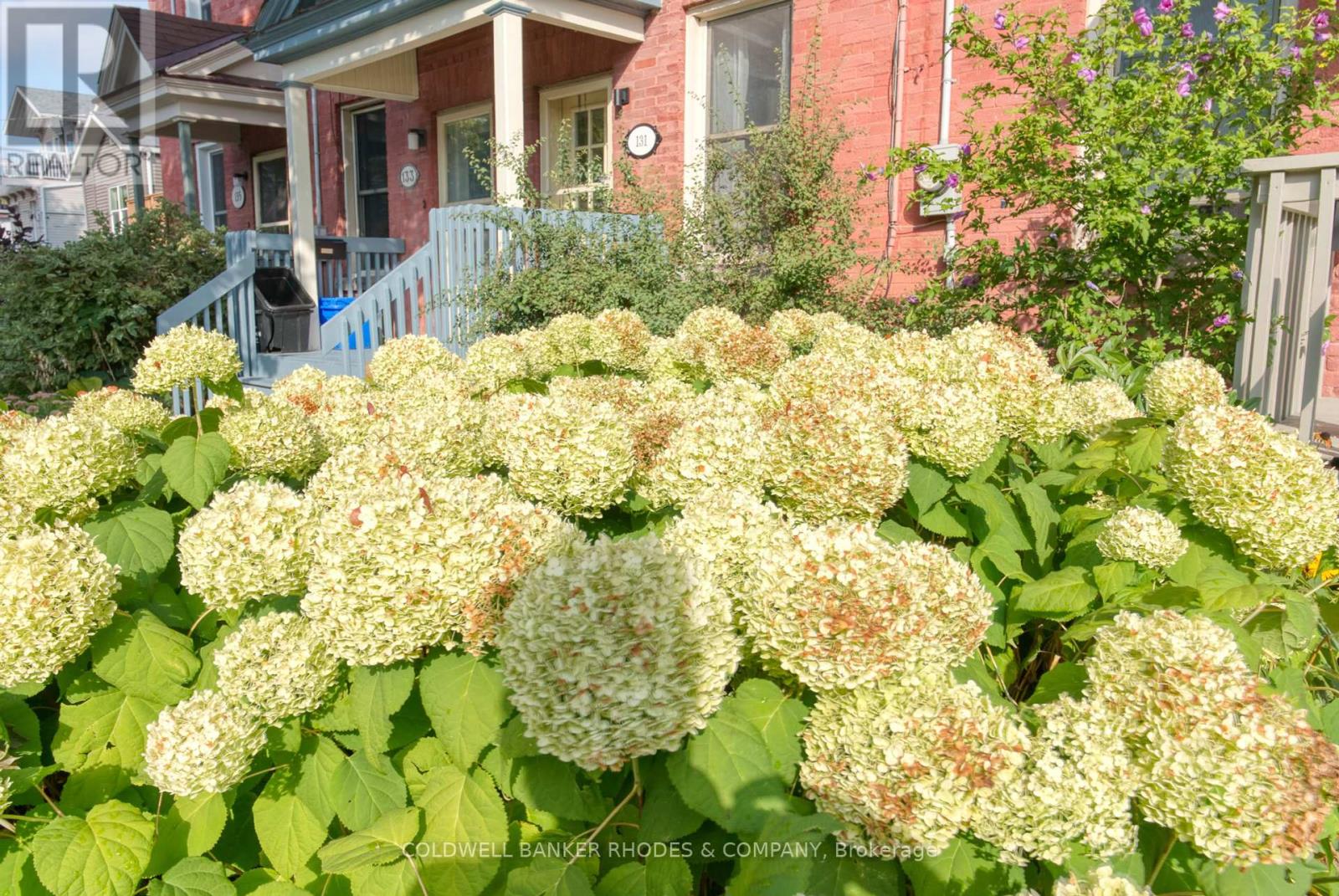 129 Elm Street, Ottawa, Ontario  K1R 6N4 - Photo 25 - X12430299