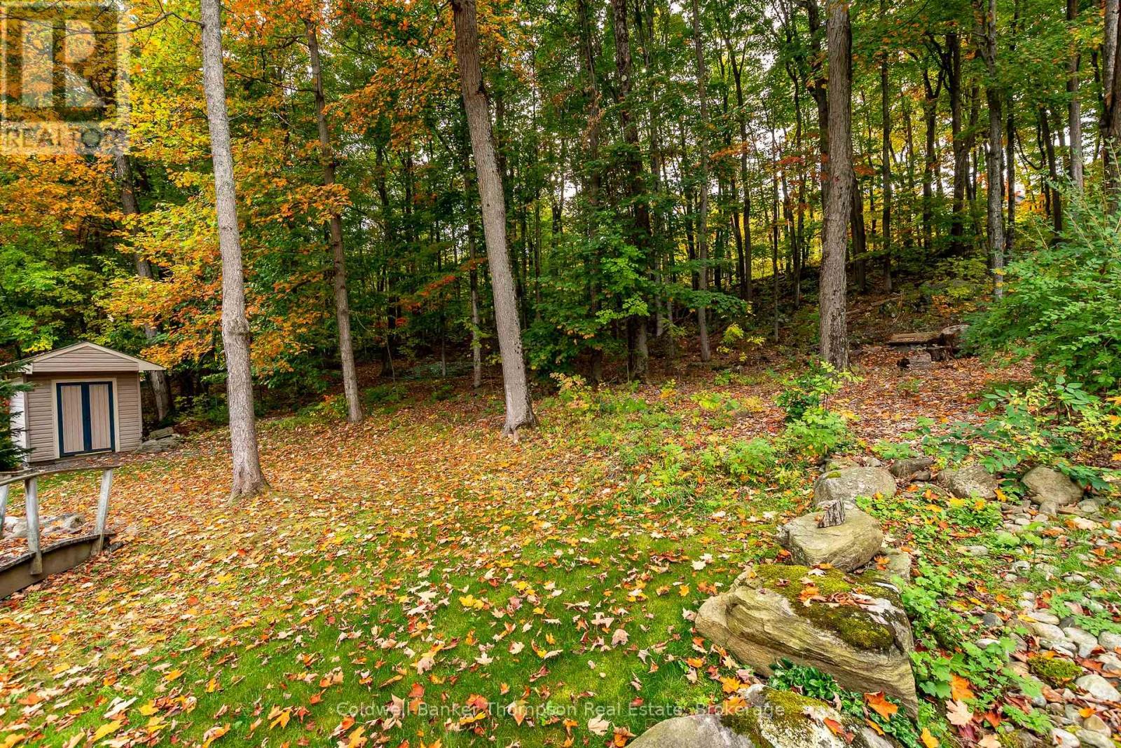 244 Summit Drive, Huntsville, Ontario  P1H 1Y9 - Photo 46 - X12293883