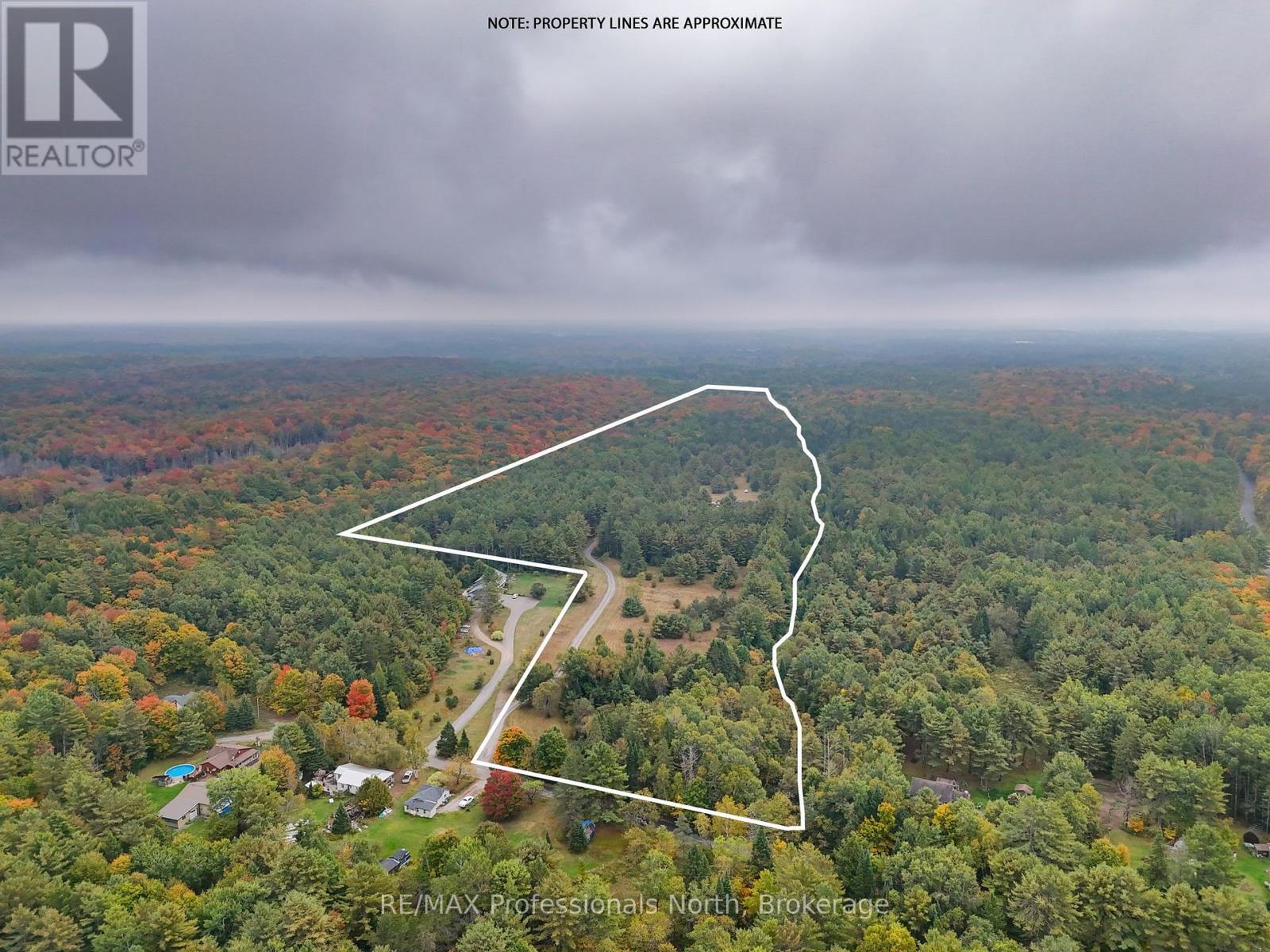 1064 Naismith Road, Bracebridge, Ontario  P1L 1X4 - Photo 6 - X12430453