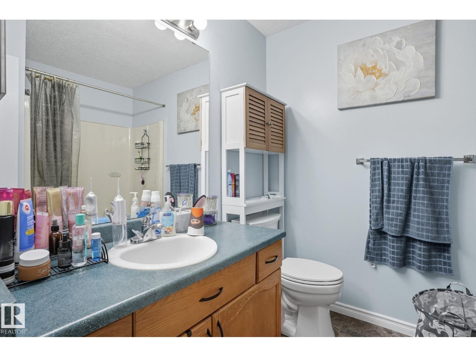 215 River Pt Nw, Edmonton, Alberta  T5A 4Z4 - Photo 14 - E4459811