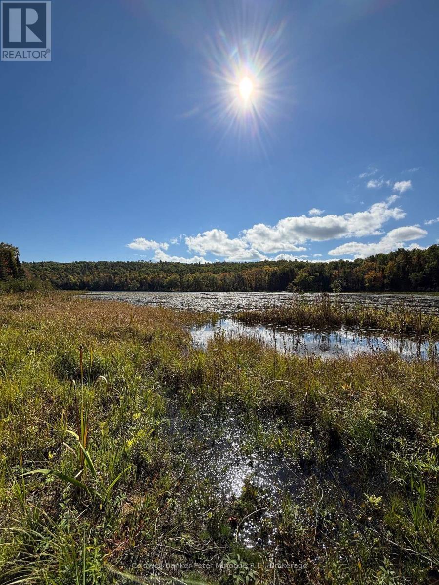 30 Shields Point Road, Bonfield, Ontario  P0H 2E0 - Photo 16 - X12421631