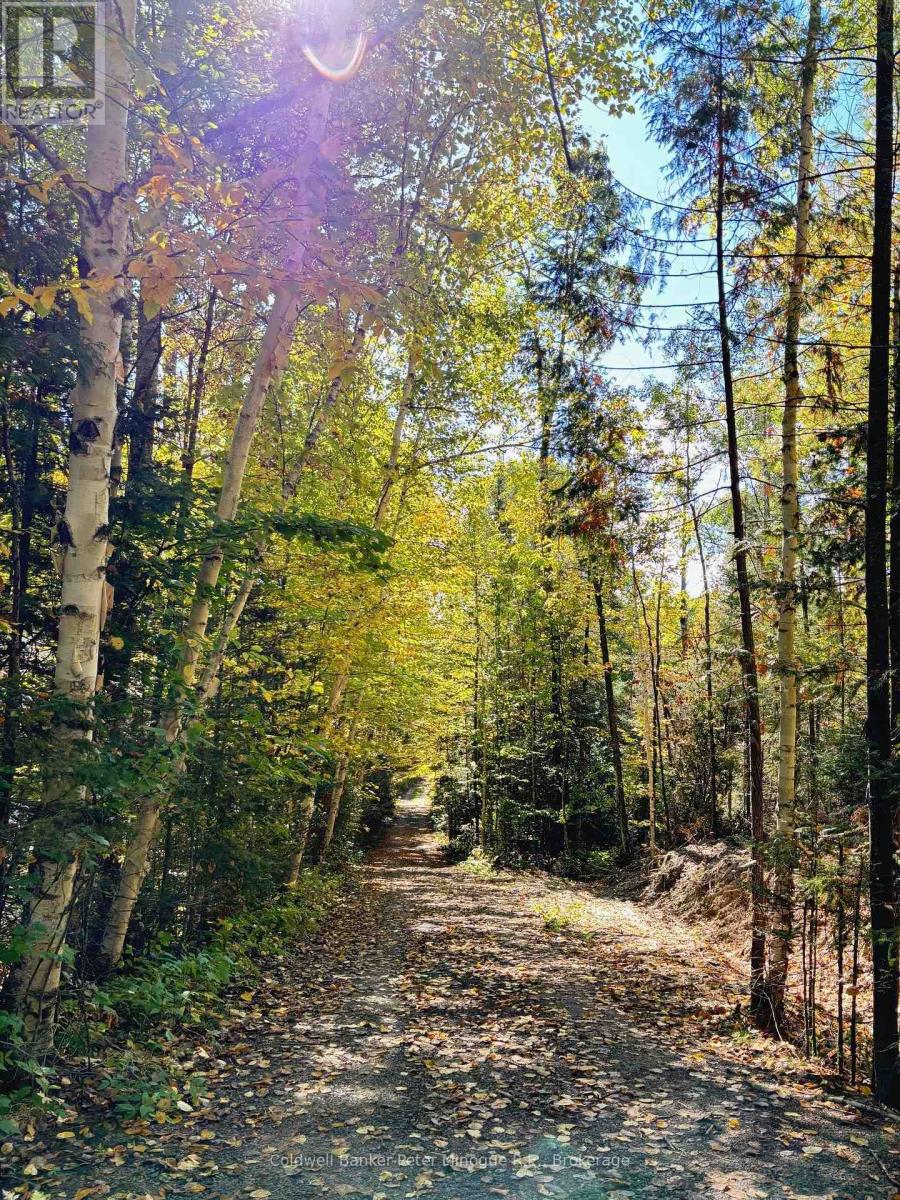 30 Shields Point Road, Bonfield, Ontario  P0H 2E0 - Photo 14 - X12421631