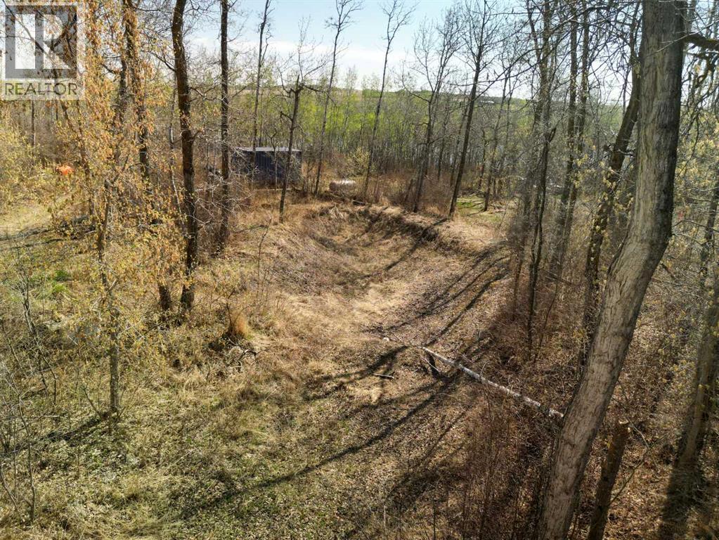 44101 #342 Range Road 214, Rural Camrose County, Alberta  T0B 1M0 - Photo 29 - A2248874