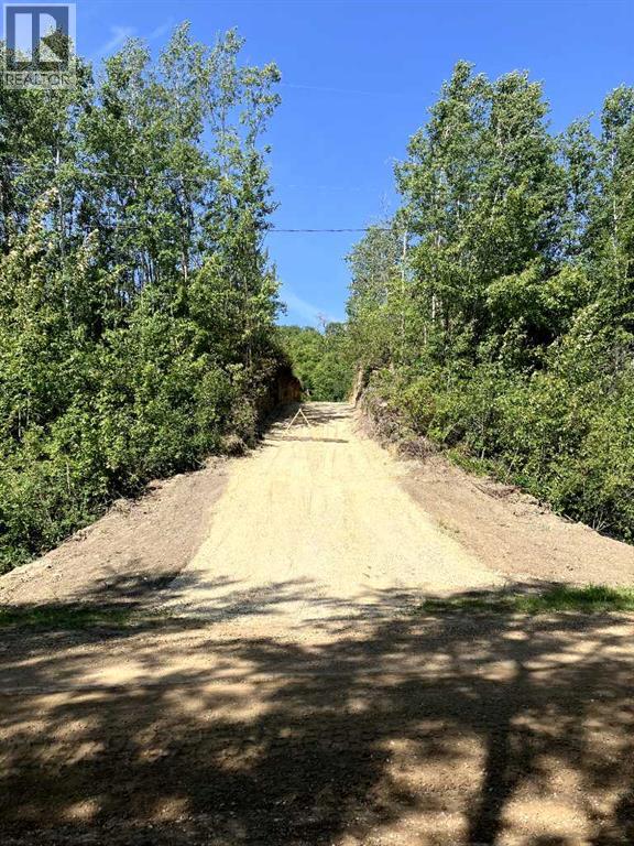 44101 #342 Range Road 214, Rural Camrose County, Alberta  T0B 1M0 - Photo 4 - A2248874