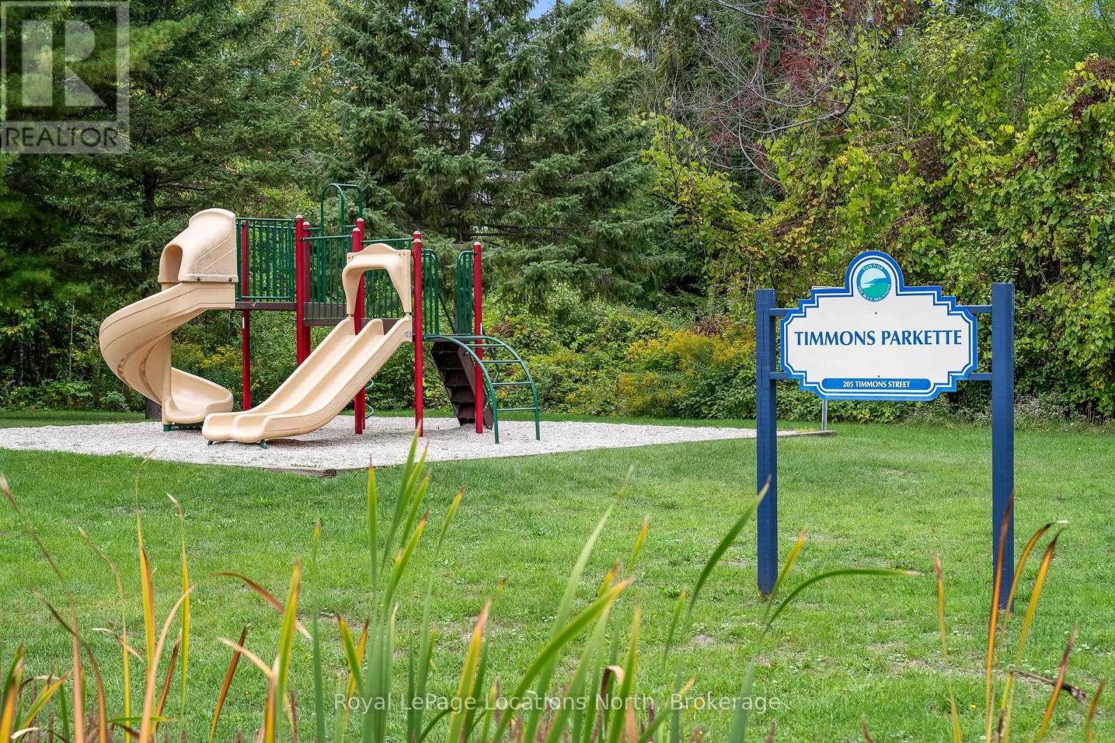 176 Timmons Street, Blue Mountains, Ontario  L9Y 0L2 - Photo 40 - X12426861