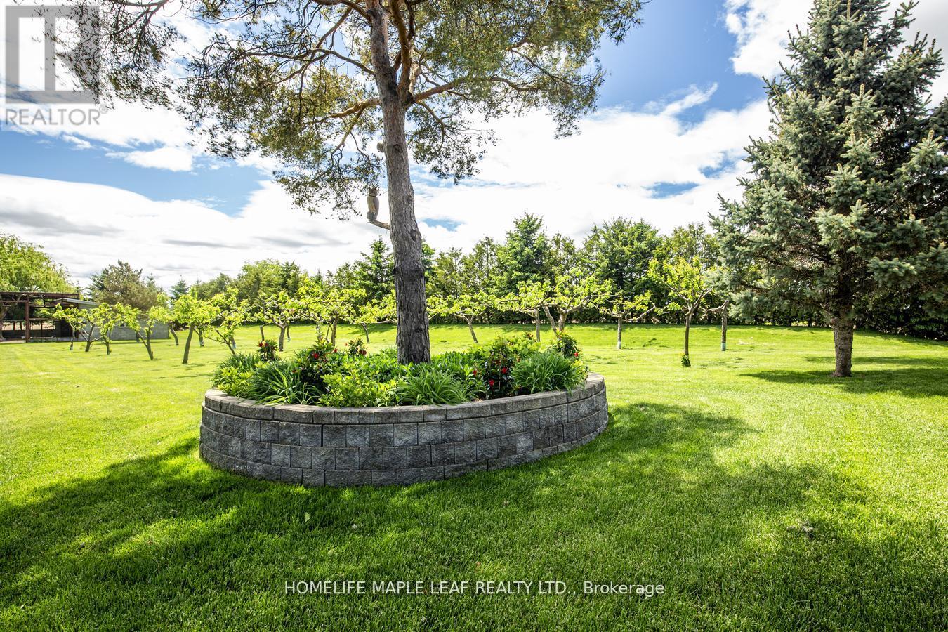 2280 Highway 27, Bradford West Gwillimbury, Ontario  L3Z 2M8 - Photo 50 - N12430639