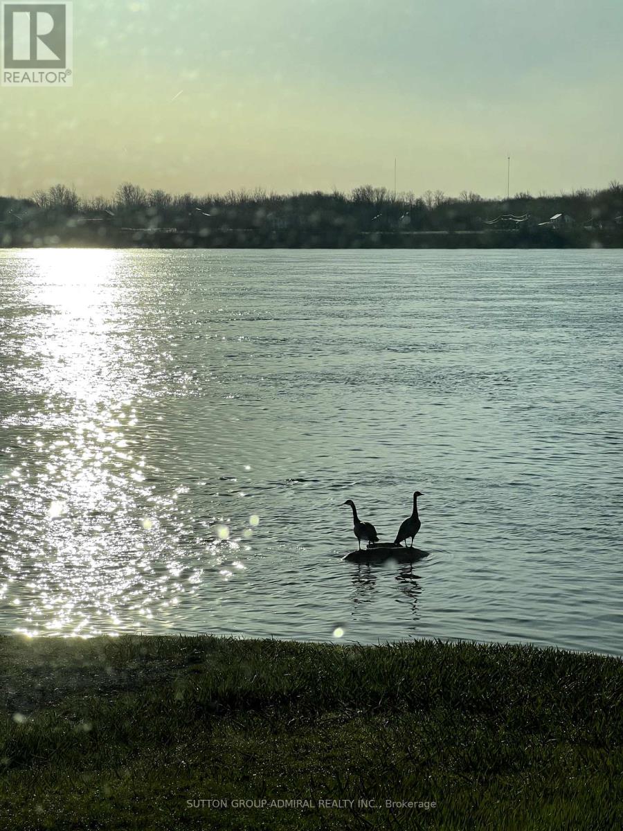9767 Niagara River Parkway, Niagara Falls (Lyons Creek), Ontario  L2G 0N9 - Photo 41 - X12381289