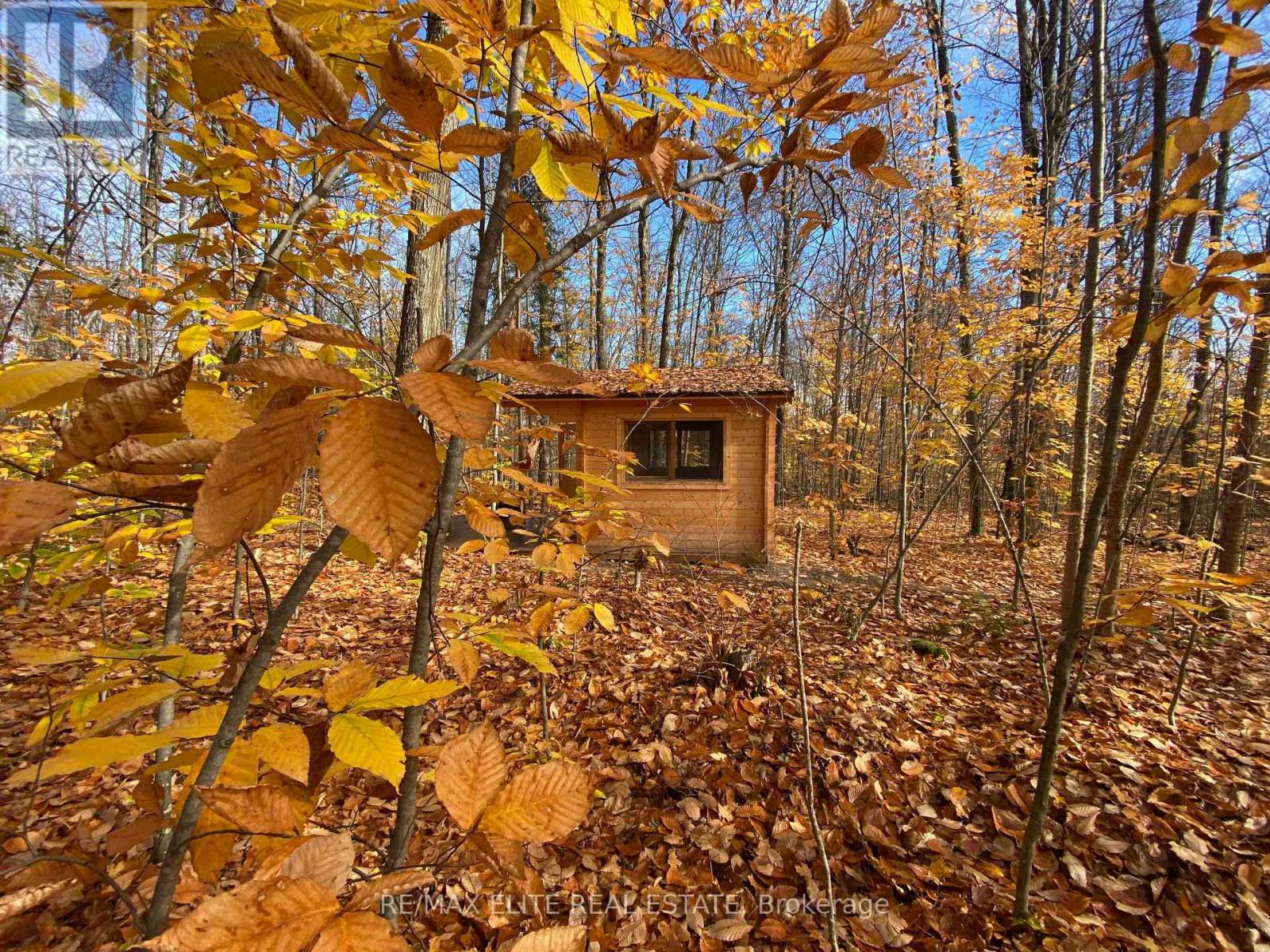 3121a Highway 523, South Algonquin, Ontario  K0L 2K0 - Photo 13 - X12430746