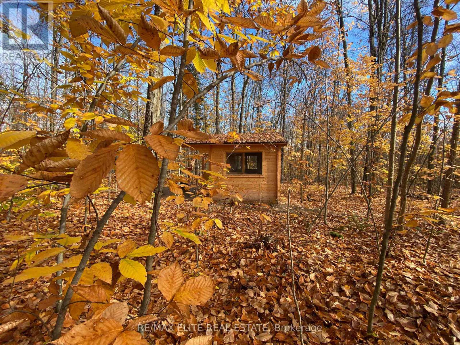 3121a Highway 523, South Algonquin, Ontario  K0L 2K0 - Photo 14 - X12430759