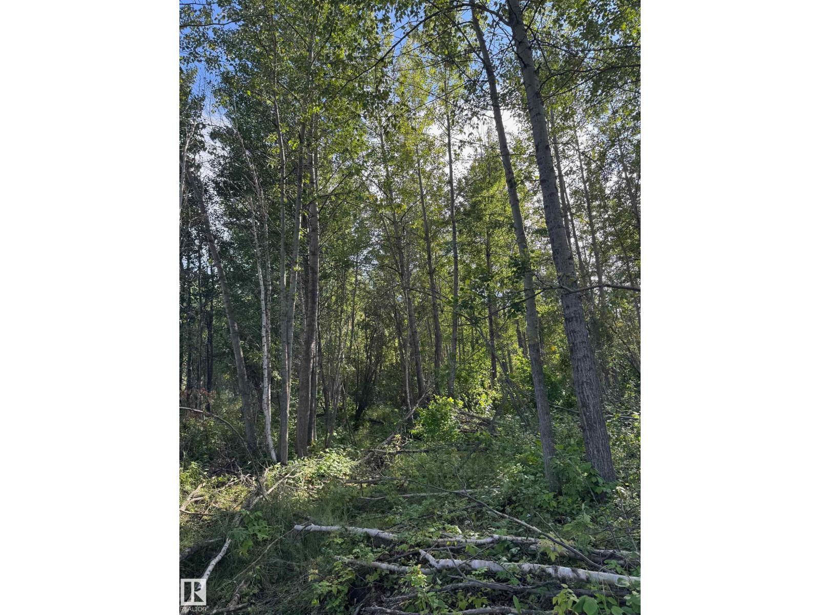 On Twp Rd 505, Rural Brazeau County, Alberta  T7A 2A2 - Photo 37 - E4459874