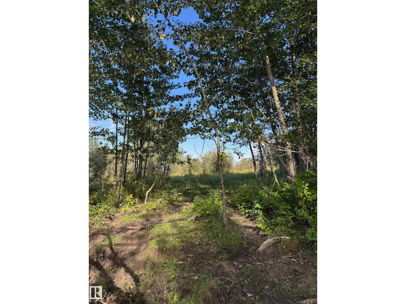 On Twp Rd 505, Rural Brazeau County, Alberta  T7A 2A2 - Photo 48 - E4459874
