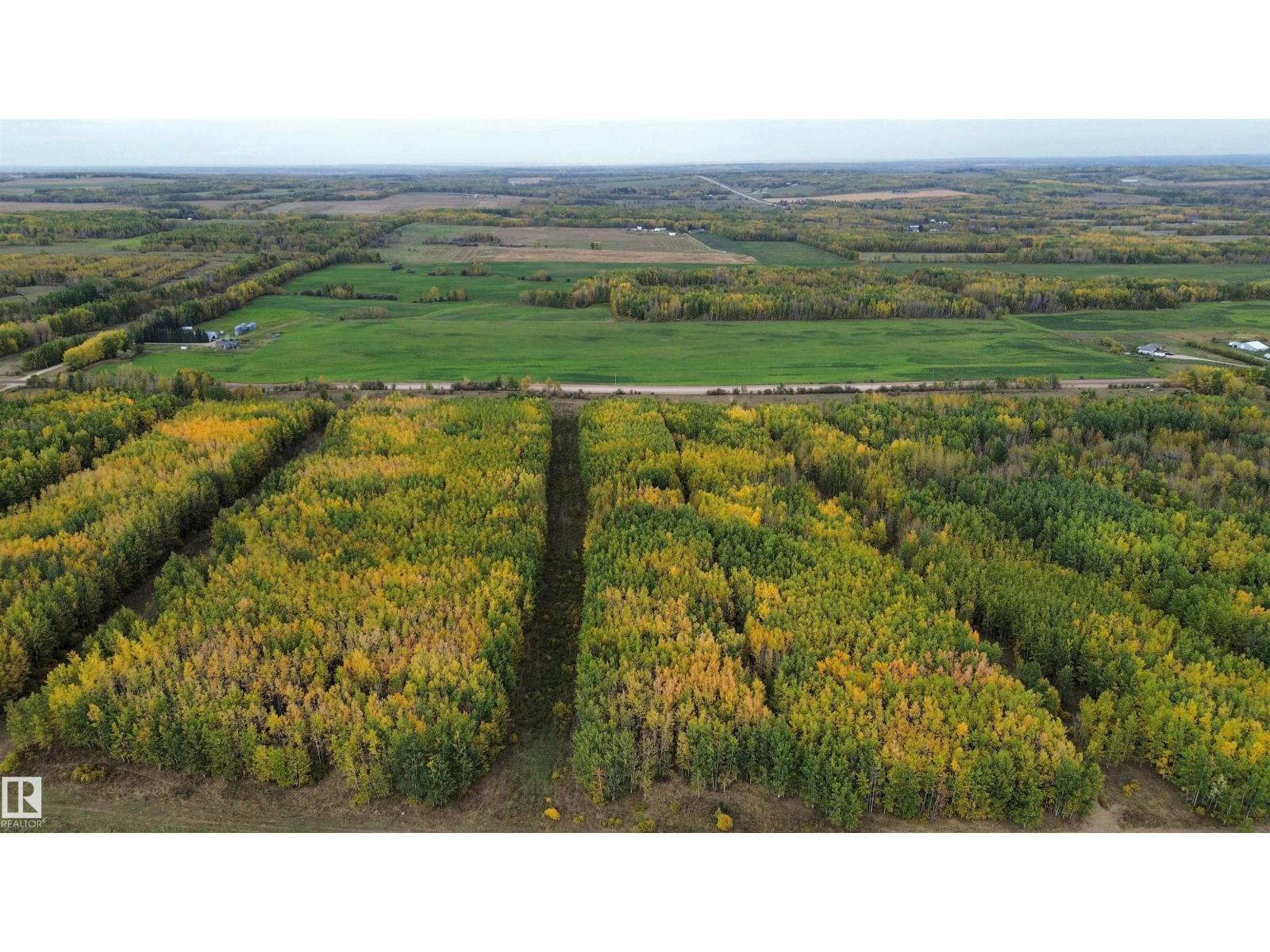 On Twp Rd 505, Rural Brazeau County, Alberta  T7A 2A2 - Photo 13 - E4459875