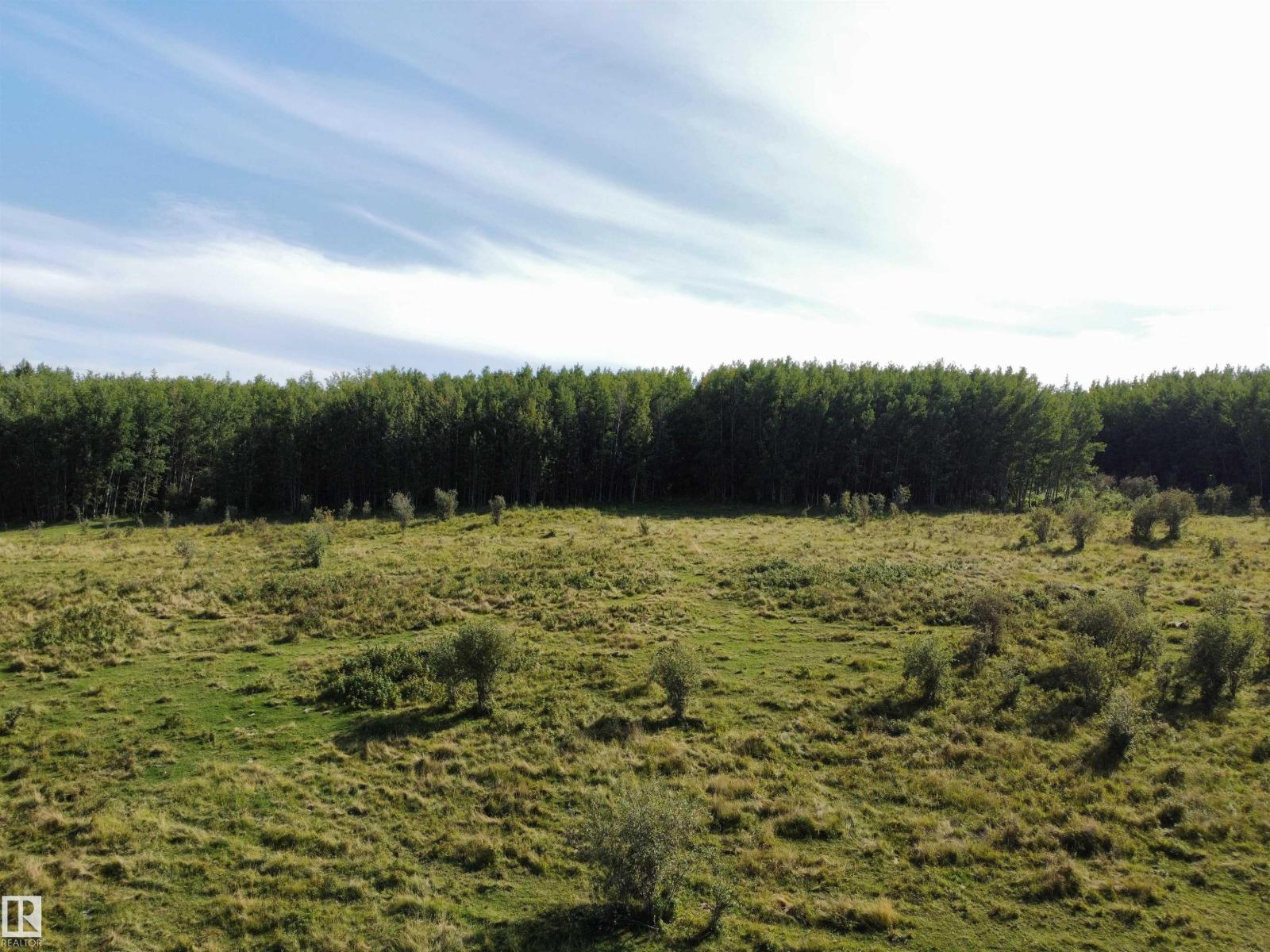On Twp Rd 505, Rural Brazeau County, Alberta  T7A 2A2 - Photo 16 - E4459875