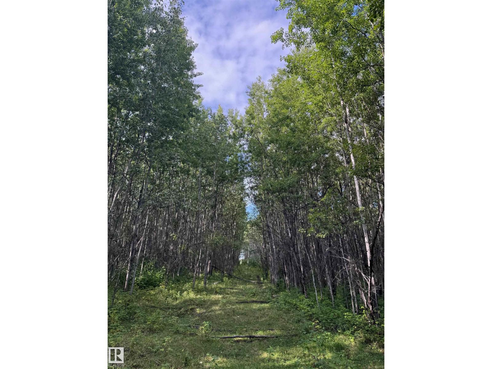 On Twp Rd 505, Rural Brazeau County, Alberta  T7A 2A2 - Photo 33 - E4459875