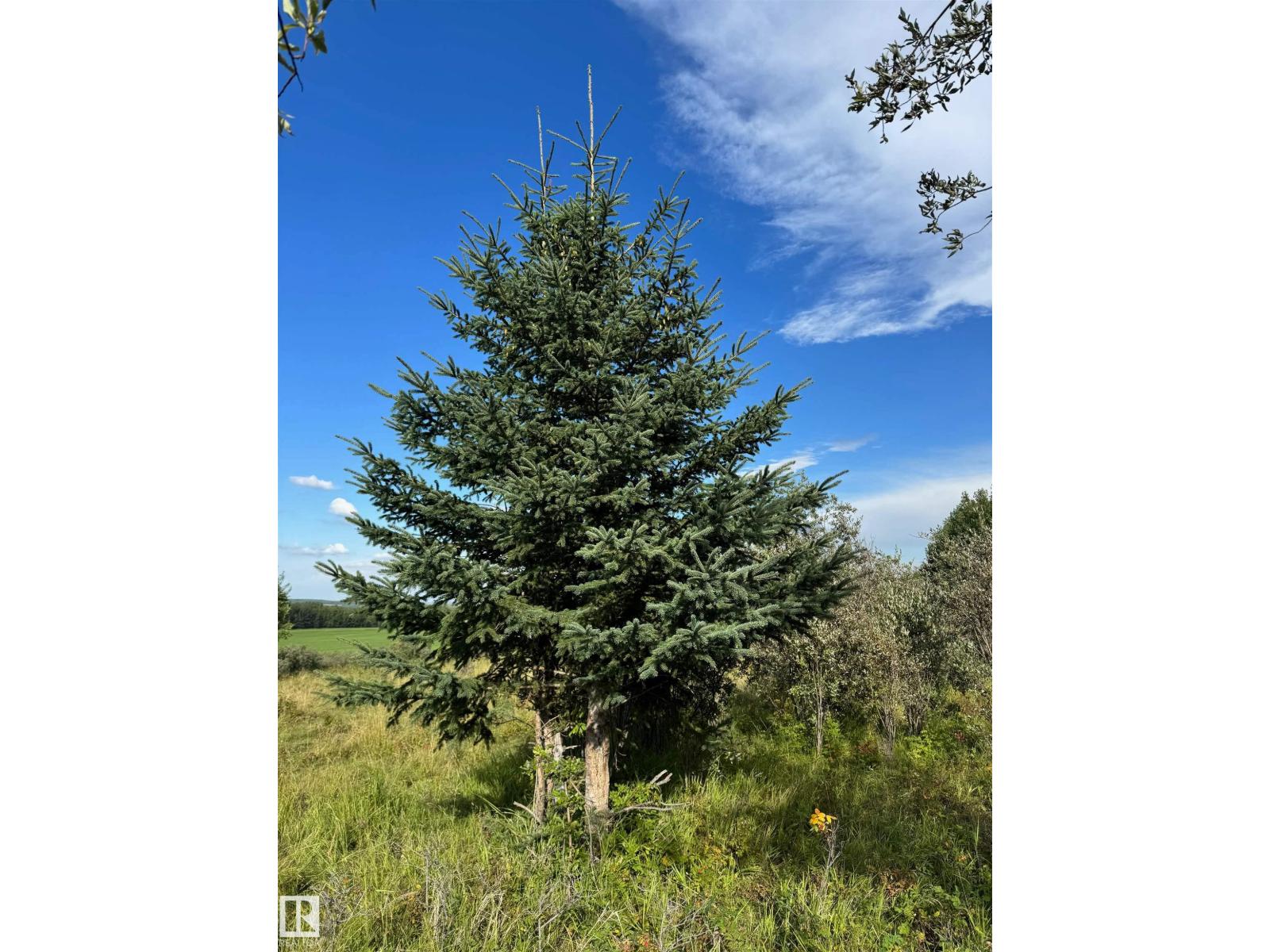On Twp Rd 505, Rural Brazeau County, Alberta  T7A 2A2 - Photo 54 - E4459875