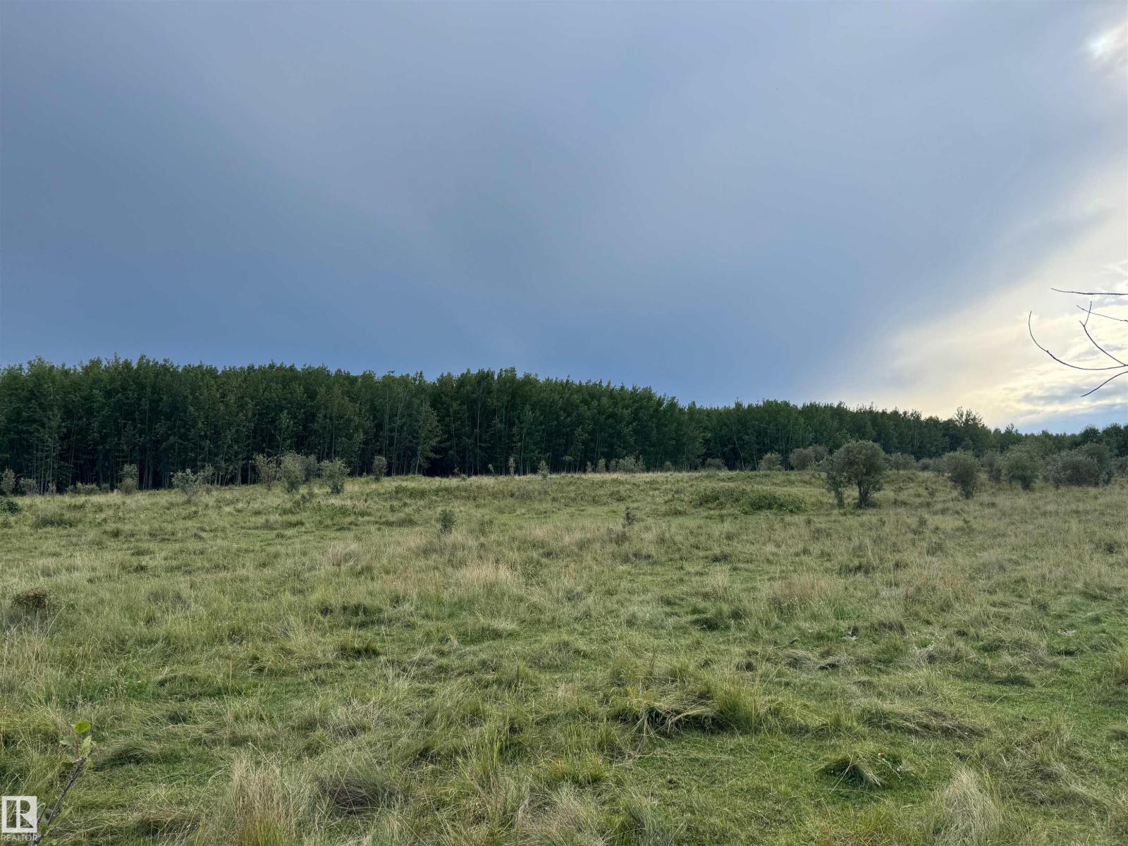 On Twp Rd 505, Rural Brazeau County, Alberta  T7A 2A2 - Photo 57 - E4459875