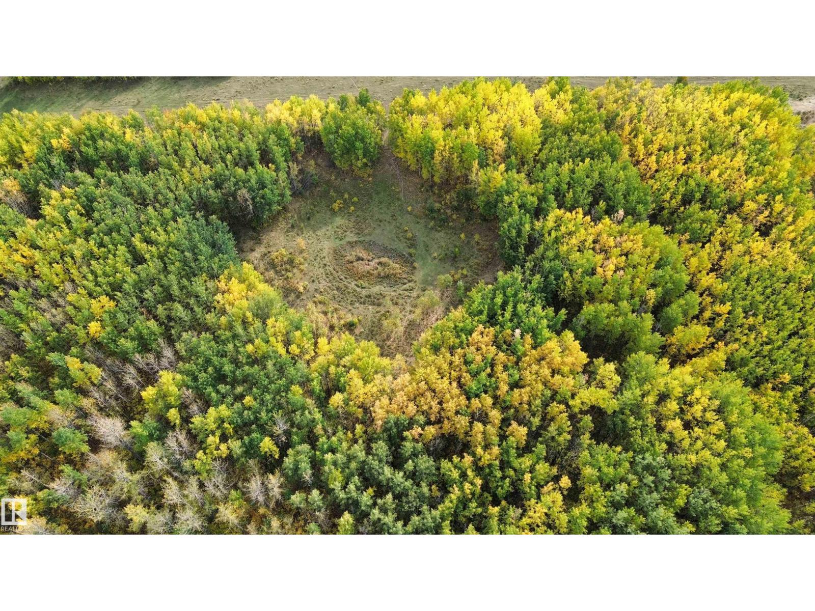 On Twp Rd 505, Rural Brazeau County, Alberta  T7A 1S4 - Photo 6 - E4459876