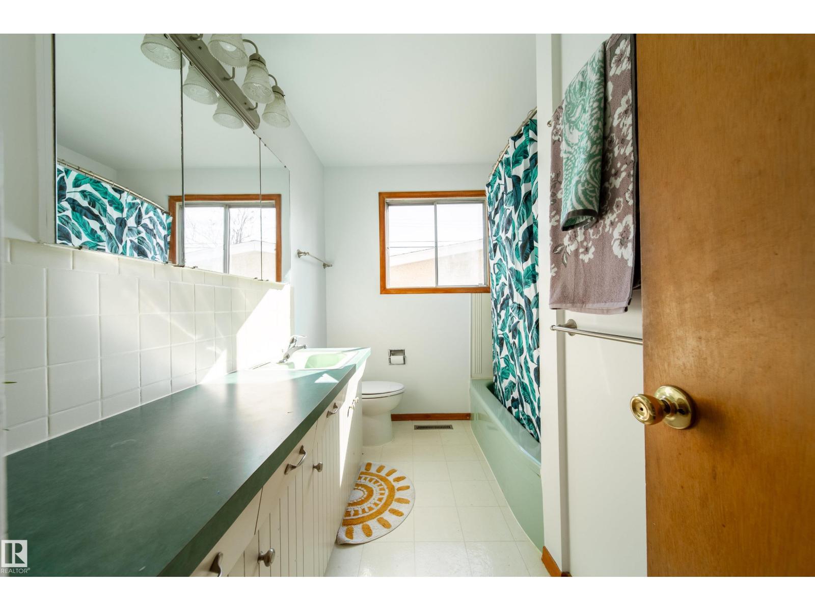 6507 98 Av Nw, Edmonton, Alberta  T6A 0A4 - Photo 14 - E4459878