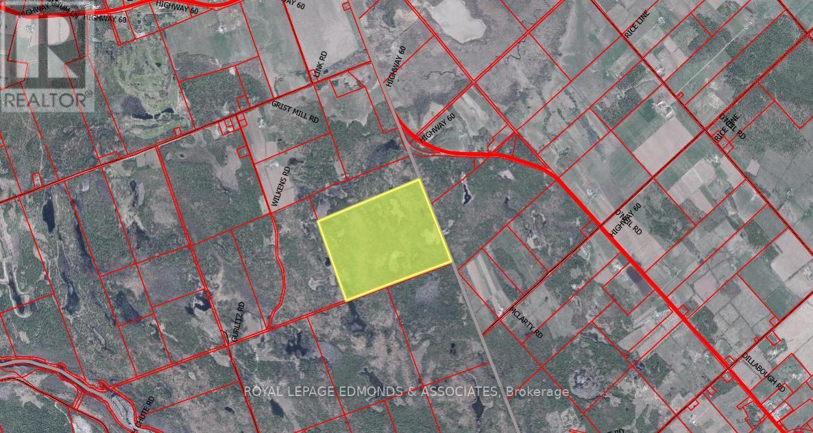 0 Highway 60, North Algona Wilberforce, Ontario  K0J 1T0 - Photo 3 - X12430851