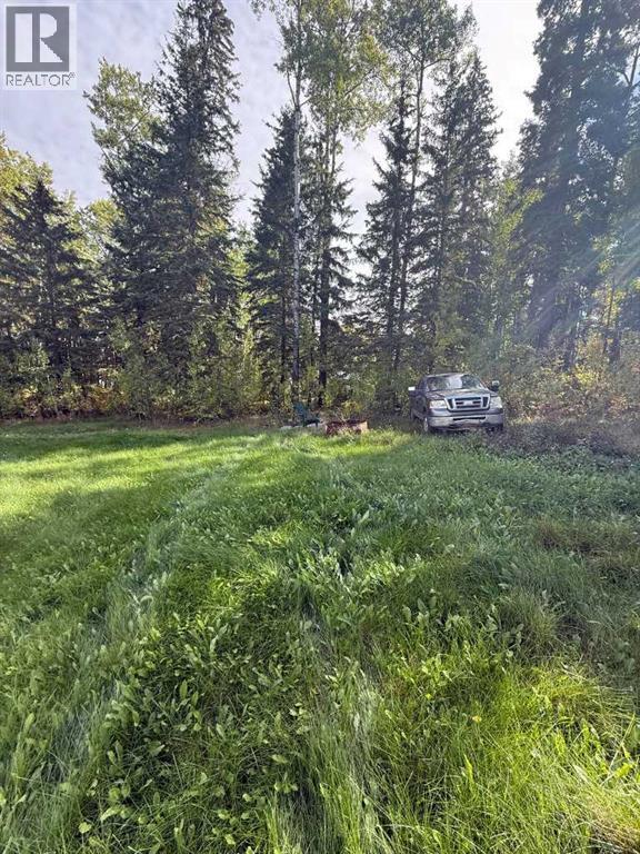 63 Pine Lane Park, Lac La Biche, Alberta  T0A 2C2 - Photo 3 - A2260222