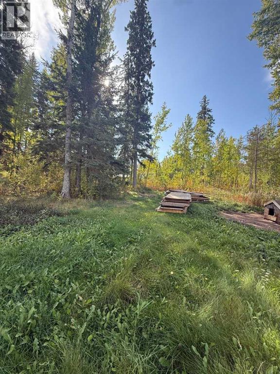 63 Pine Lane Park, Lac La Biche, Alberta  T0A 2C2 - Photo 4 - A2260222