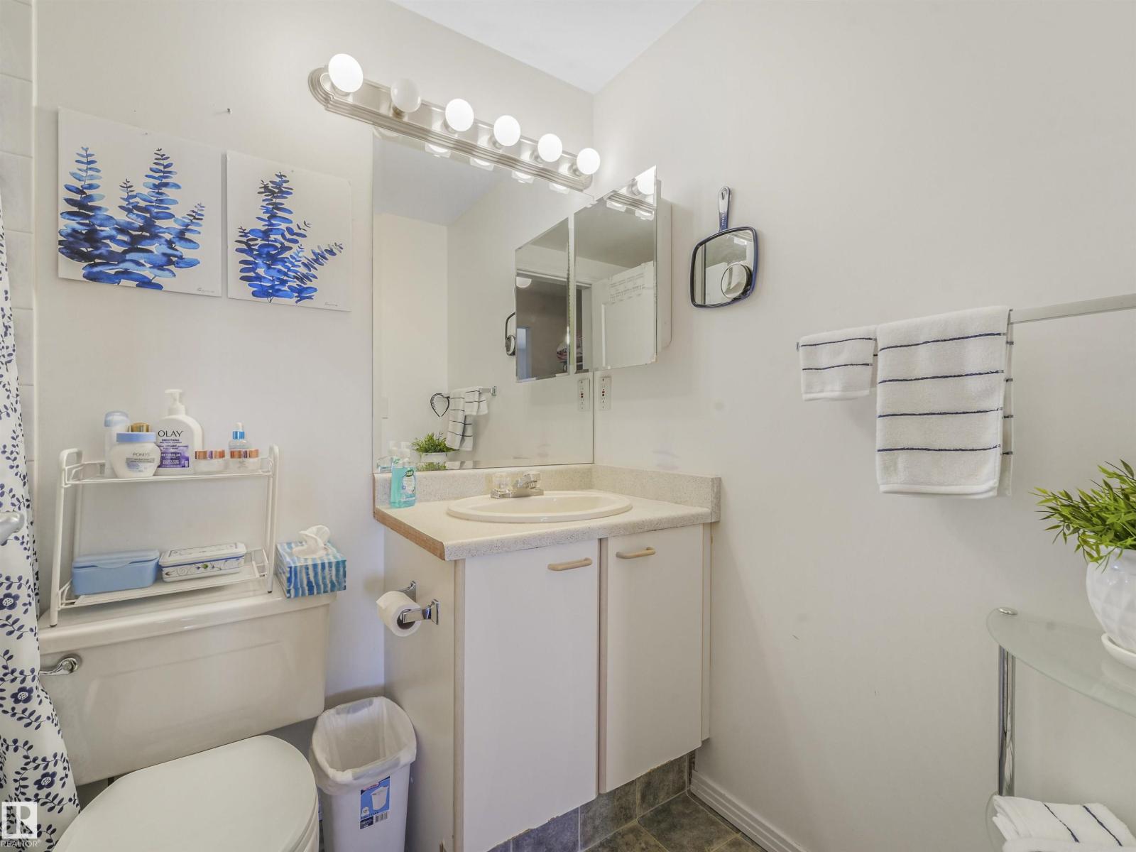 #318 6710 158 Av Nw, Edmonton, Alberta  T5Z 3A7 - Photo 24 - E4452809
