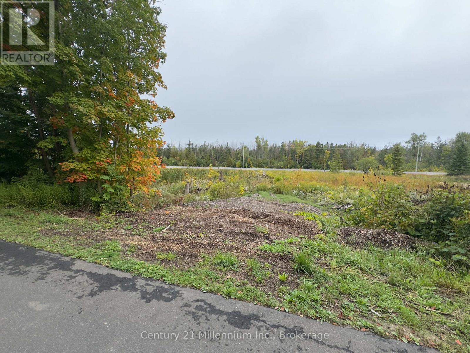 Lot 13 Old 26 Highway, Meaford, Ontario  N4L 1W7 - Photo 6 - X12428172