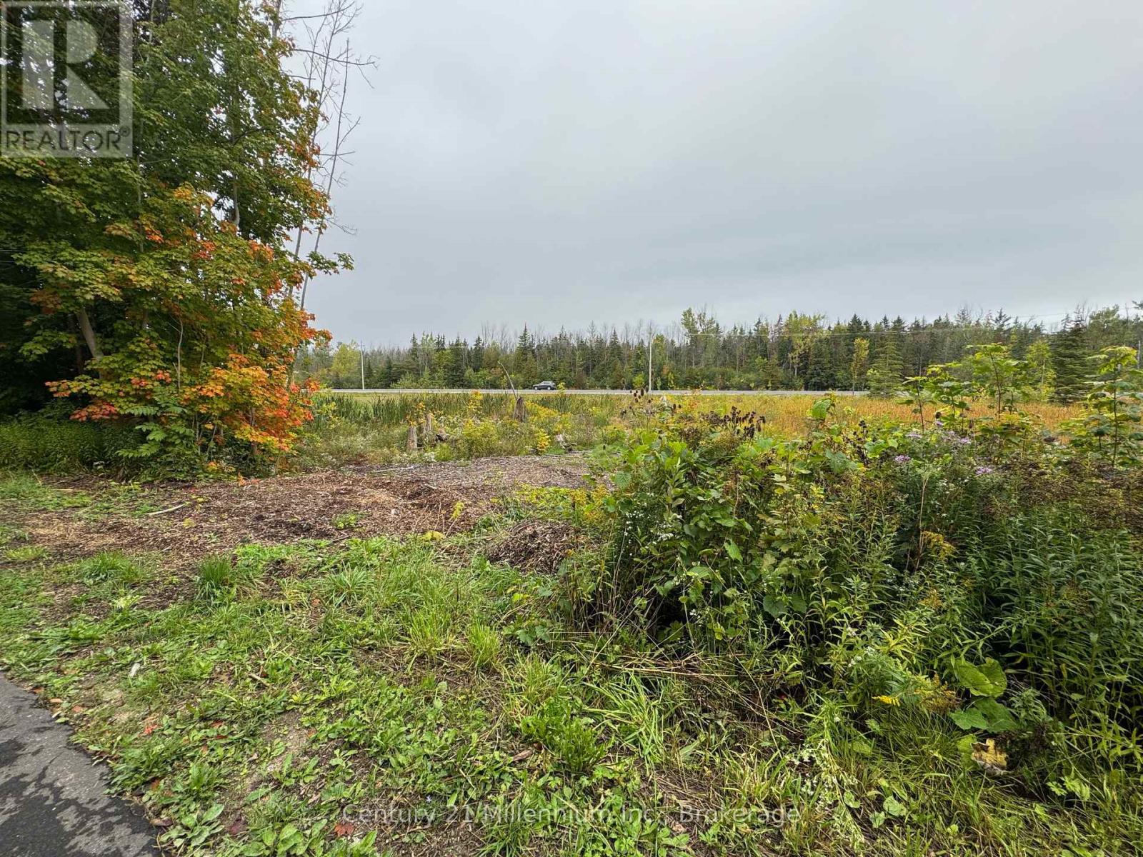 Lot 13 Old 26 Highway, Meaford, Ontario  N4L 1W7 - Photo 5 - X12428172