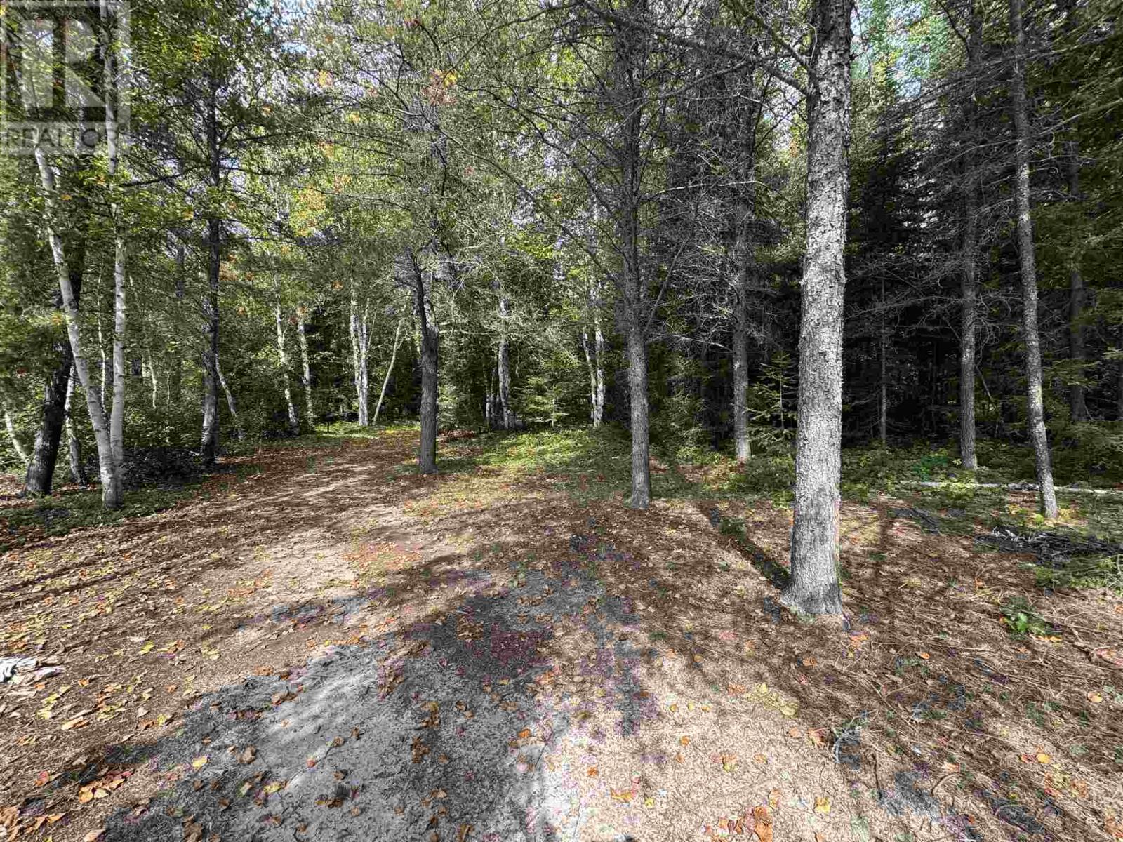 Pcl 4376 Laforme, Dalton, Ontario  P0M 0C8 - Photo 14 - SM252756