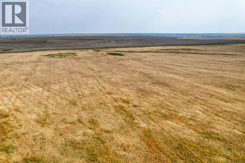 In Special Area 2, Rural Special Areas No. 2, Alberta  T0J 1E0 - Photo 4 - A2254817