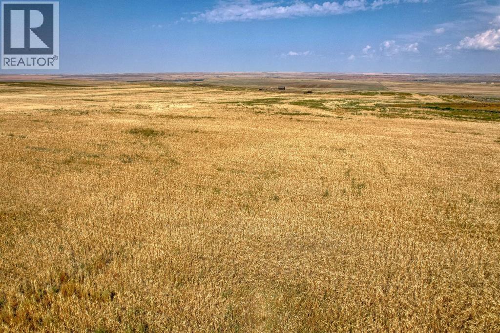 In Special Area 2, Rural Special Areas No. 2, Alberta  T0J 1E0 - Photo 5 - A2254817