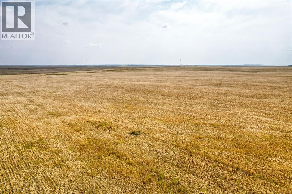 In Special Area 2, Rural Special Areas No. 2, Alberta  T0J 1E0 - Photo 6 - A2254817