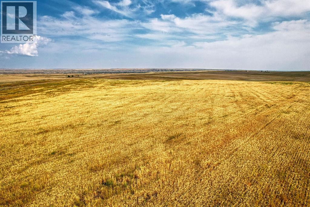 In Special Area 2, Rural Special Areas No. 2, Alberta  T0J 1E0 - Photo 7 - A2254817