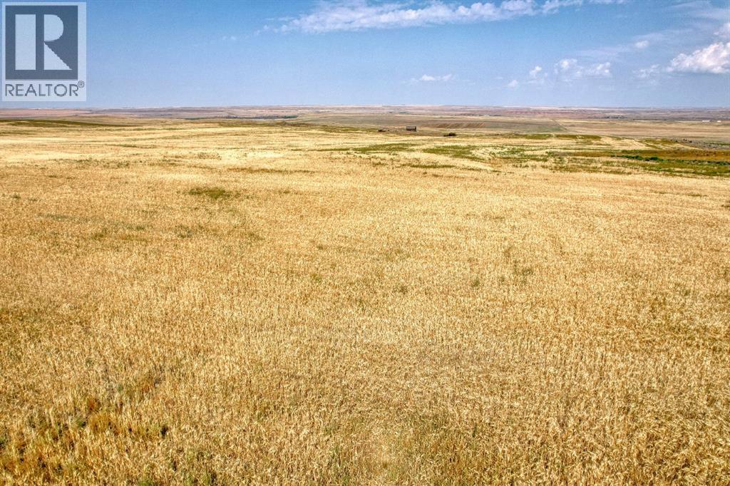 In Special Area 2, Rural Special Areas No. 2, Alberta  T0J 1E0 - Photo 8 - A2254817