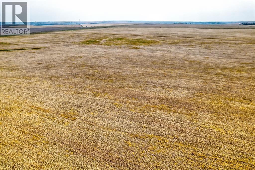 In Special Area 2, Rural Special Areas No. 2, Alberta  T0J 1E0 - Photo 9 - A2254817