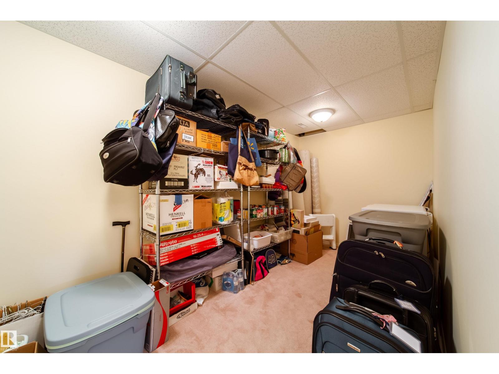 10820 42a Av Nw, Edmonton, Alberta  T6J 2P7 - Photo 51 - E4459901
