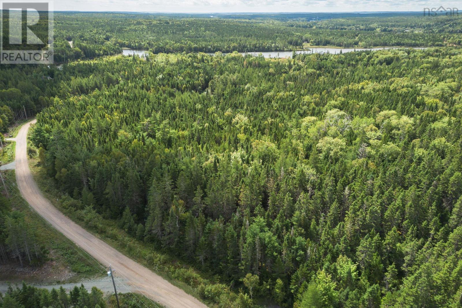 Lot 17 Helmuts Lane, Cleveland, Nova Scotia  B0E 1J0 - Photo 15 - 202506969
