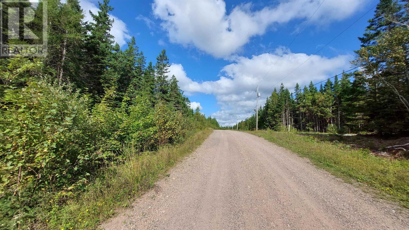 Lot 17 Helmuts Lane, Cleveland, Nova Scotia  B0E 1J0 - Photo 5 - 202506969