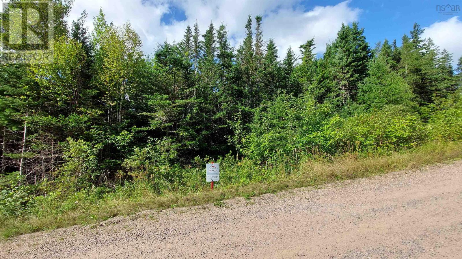 Lot 17 Helmuts Lane, Cleveland, Nova Scotia  B0E 1J0 - Photo 6 - 202506969