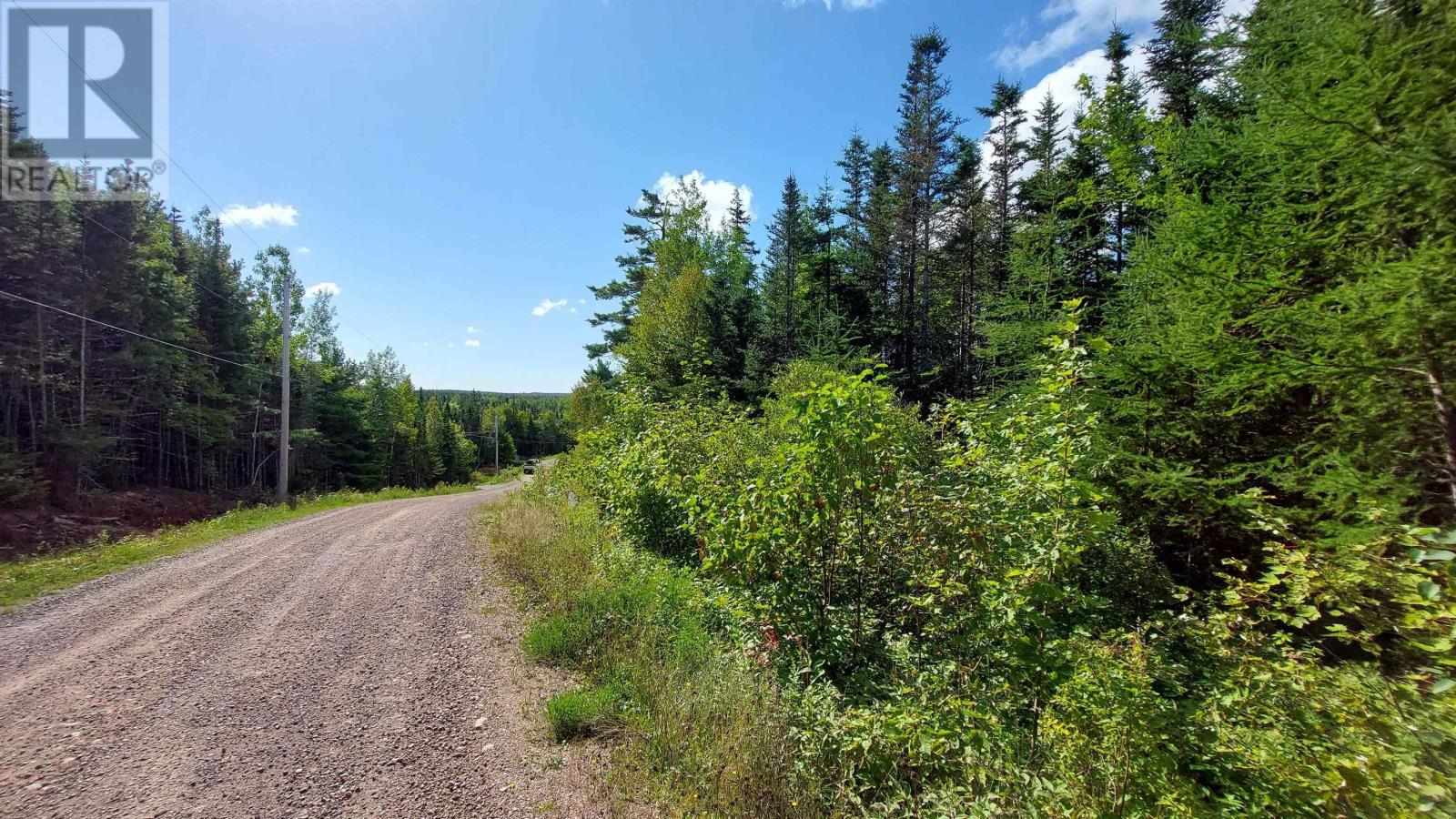 Lot 17 Helmuts Lane, Cleveland, Nova Scotia  B0E 1J0 - Photo 9 - 202506969