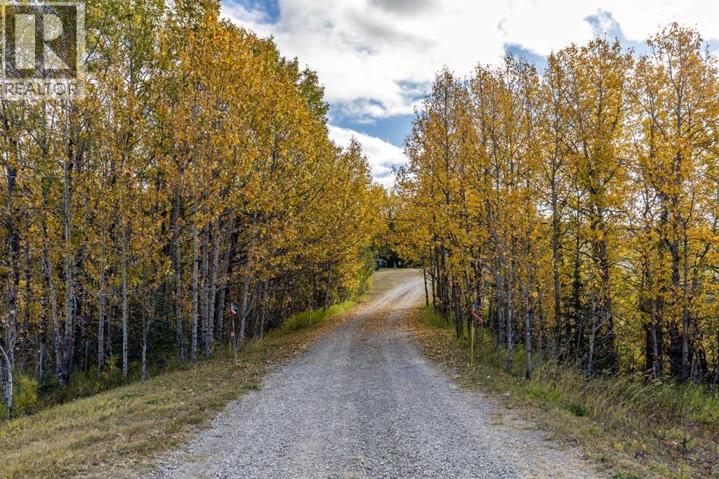Grand Valley Road, Rural Rocky View County, Alberta  T4C 2W5 - Photo 10 - A2260437