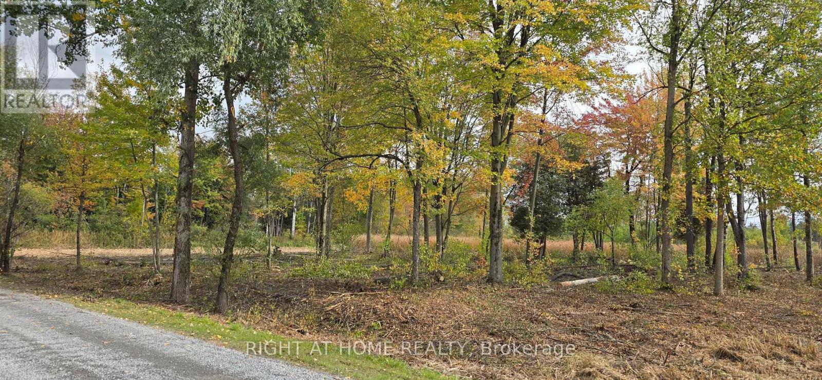 0 Sutherland Drive, Ottawa, Ontario  K4M 1B3 - Photo 13 - X12422566
