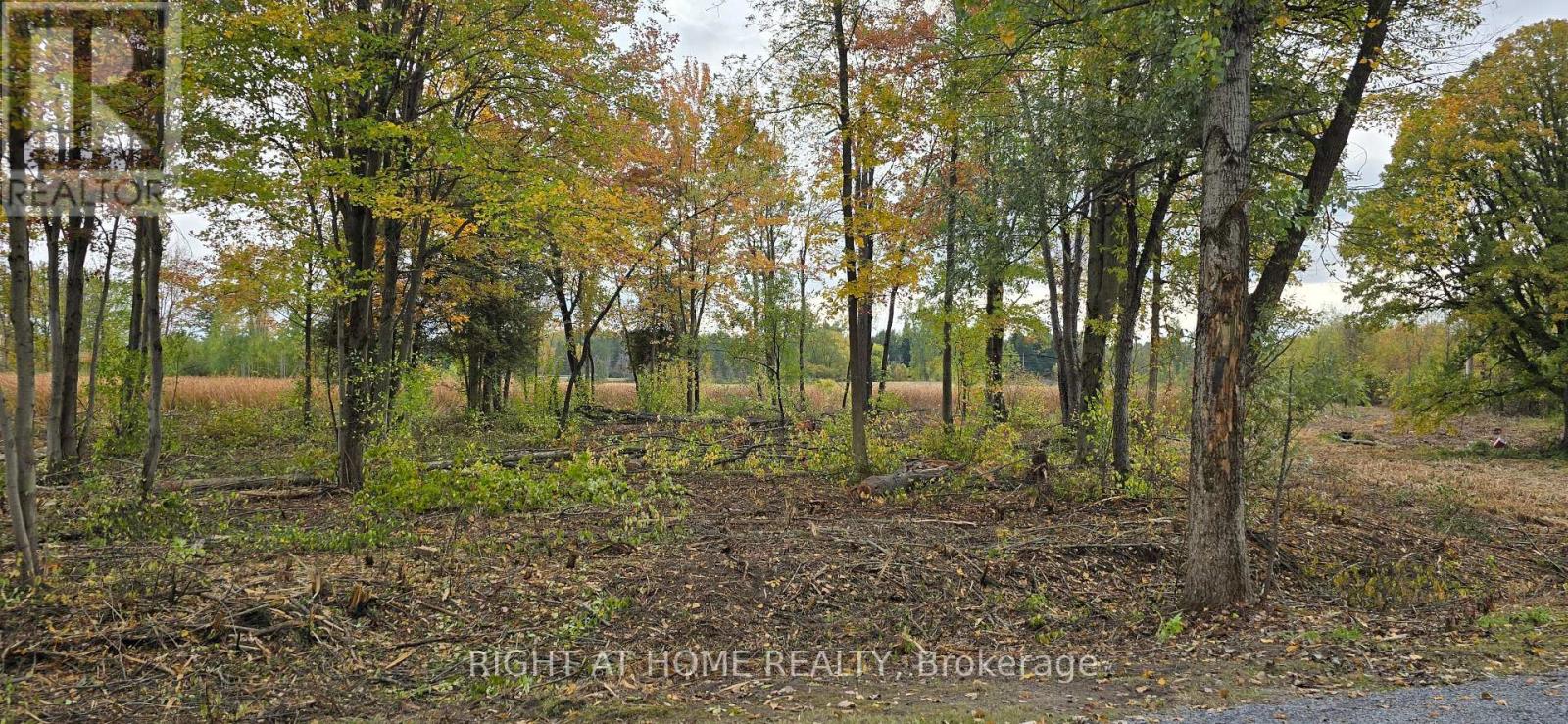 0 Sutherland Drive, Ottawa, Ontario  K4M 1B3 - Photo 7 - X12422566