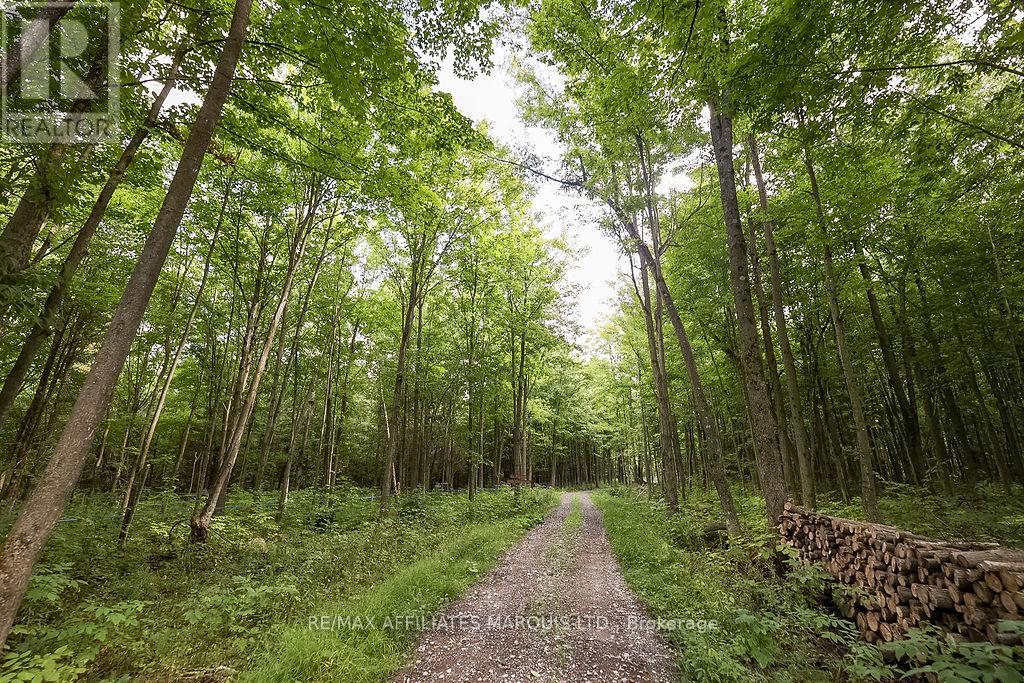 19509 County Road  43 Road, North Glengarry, Ontario  K0C 1A0 - Photo 22 - X12431191
