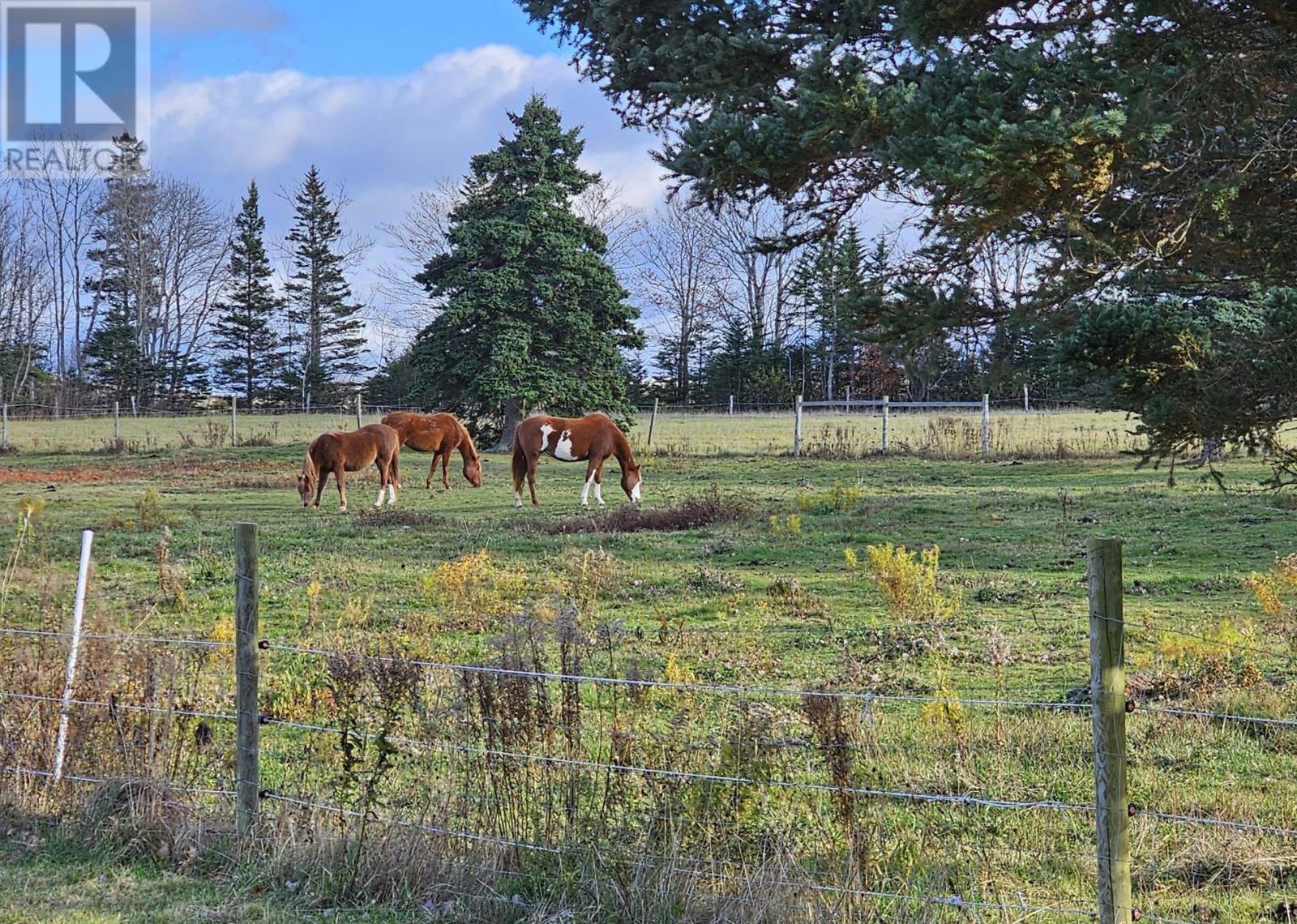 12812 Shore Road, Moshers Corner, Nova Scotia  B0S 1P0 - Photo 7 - 202511835