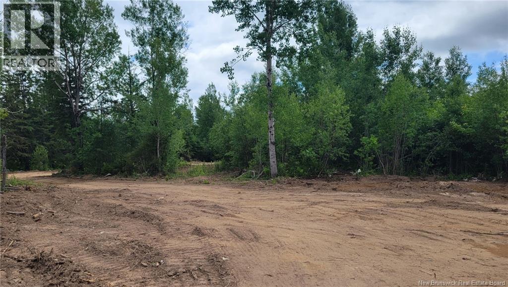 Lot - 4534 Route 134, Cocagne, New Brunswick  E4R 2Z3 - Photo 7 - NB126222