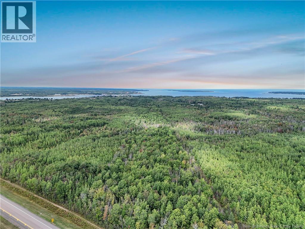 Lot - 4534 Route 134, Cocagne, New Brunswick  E4R 2Z3 - Photo 13 - NB126222