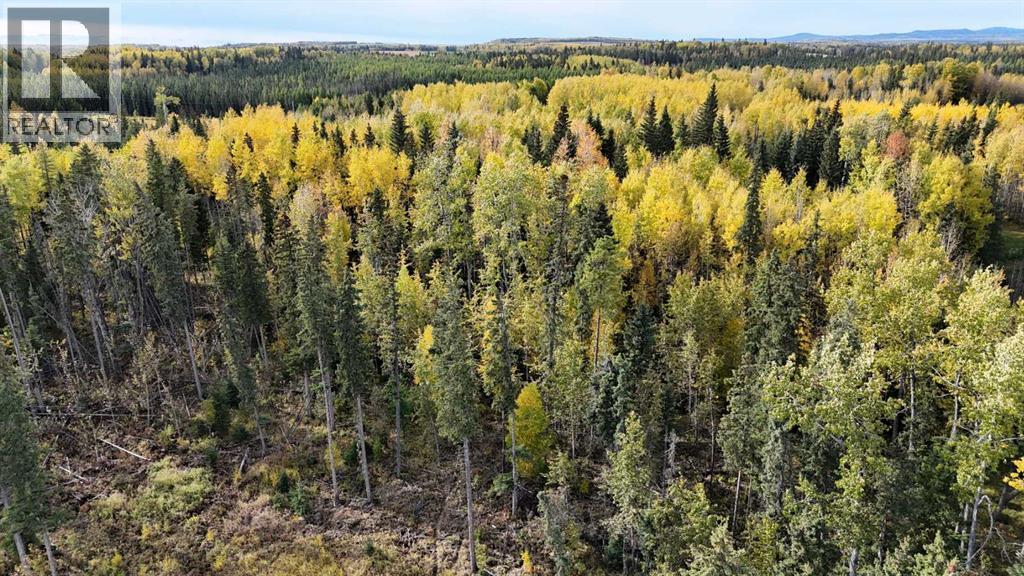 16322b Township Road 544, Rural Yellowhead County, Alberta  T7E 3V9 - Photo 15 - A2260701