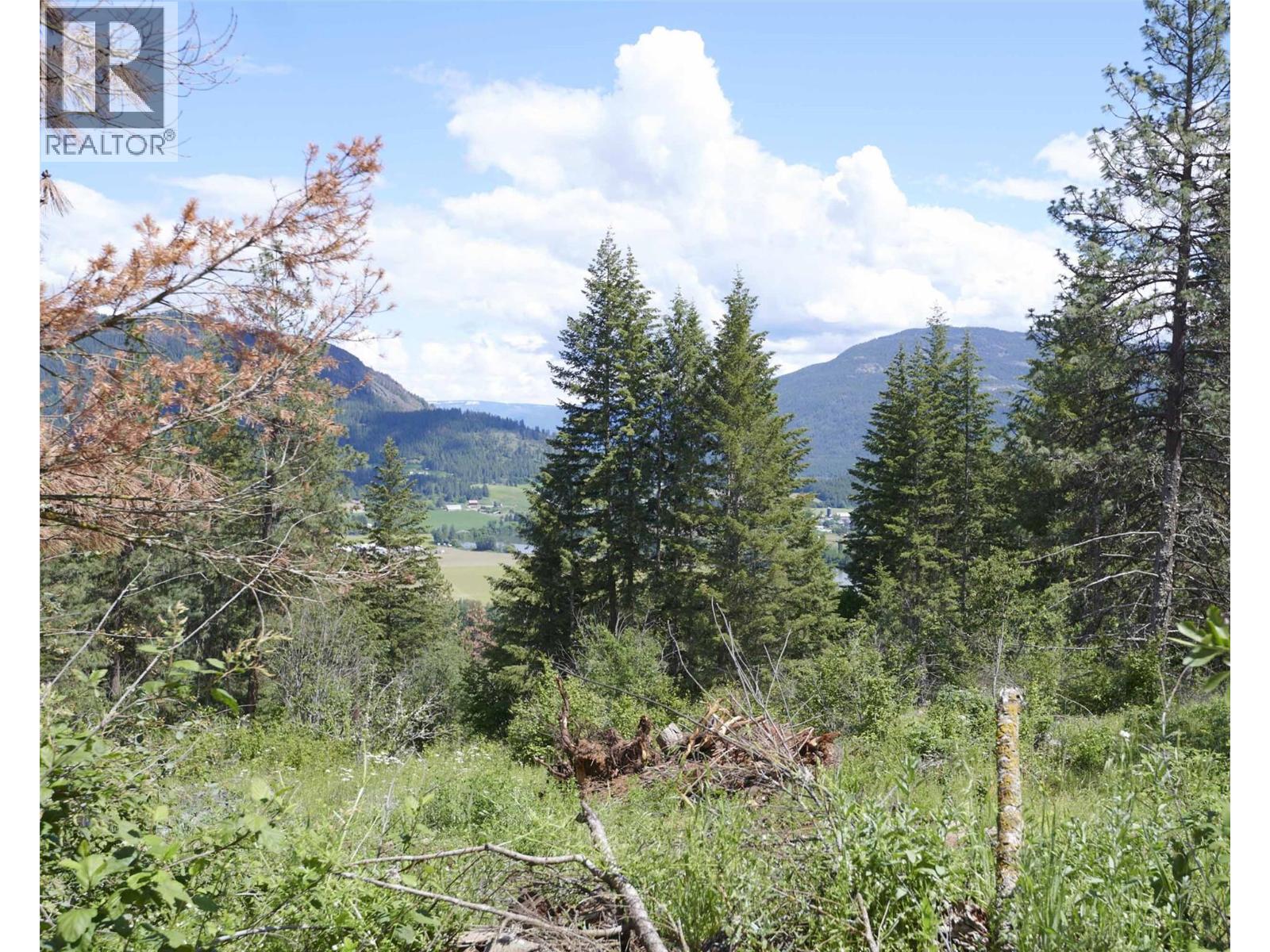 237 Crooked Pine Road, Enderby, British Columbia  V0E 1V1 - Photo 46 - 10340914